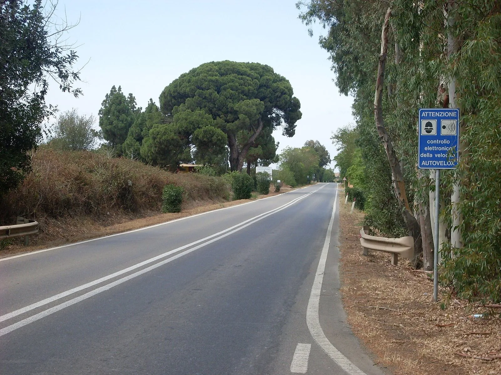 Una strada alberata nelle campagne di Sarroch, verso Villa d'Orri